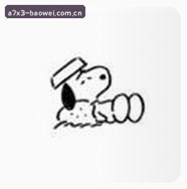 郑凯